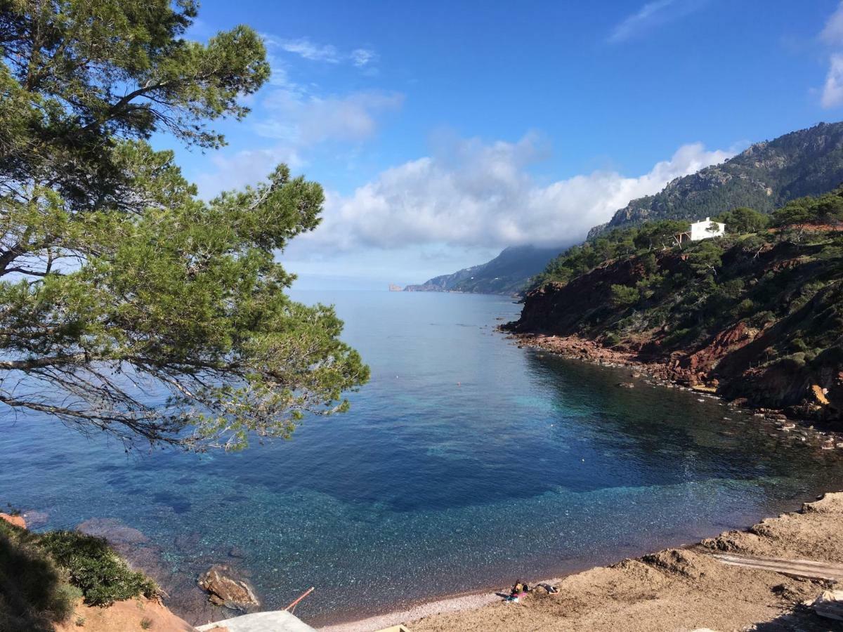 Home In Tramuntana Port des Canonge Eksteriør billede